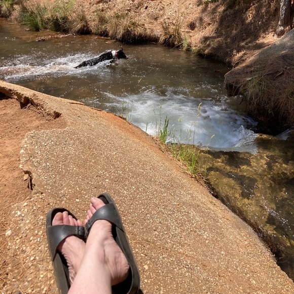 LIVE Show Notification Here! - Picture 4 of 4